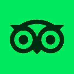 TripAdvisor Review - Jordigo Travel and Tours